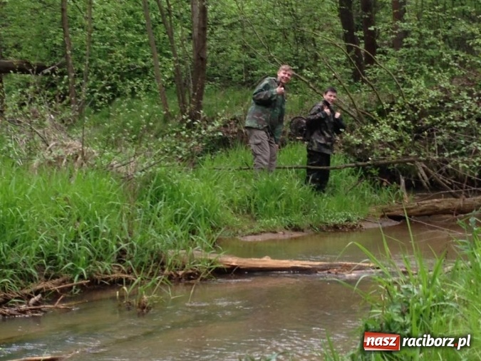 Zdjęcie w galerii na portalu naszraciborz.pl: Bastion na biwaku w szymocickim lesie wiadomości z regionu