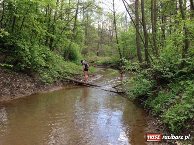 Zdjęcie w galerii na portalu naszraciborz.pl: Bastion na biwaku w szymocickim lesie wiadomości z regionu