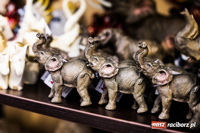 Zdjęcie w galerii na portalu naszraciborz.pl: Odkryj nowy Świat Prezentów – już dziś wielkie otwarcie przy Rynku! wiadomości z regionu