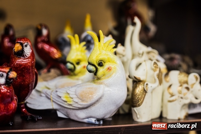 Zdjęcie w galerii na portalu naszraciborz.pl: Odkryj nowy Świat Prezentów – już dziś wielkie otwarcie przy Rynku! wiadomości z regionu