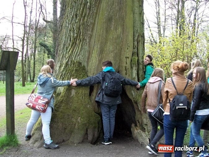 Zdjęcie w galerii na portalu naszraciborz.pl: Uczniowie z Nędzy gościli kolegów zza Odry  wiadomości z regionu