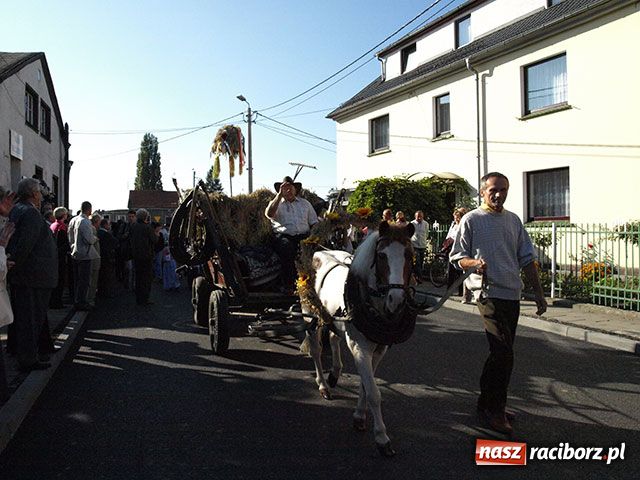 Zdjęcie w galerii na portalu naszraciborz.pl: 750 lat Studziennej wiadomości z regionu