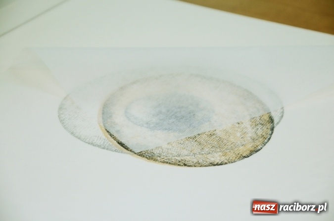 Zdjęcie w galerii na portalu naszraciborz.pl: Spotkanie z dr Joanną Apanowicz na początek Tygodnia Bibliotek na raciborskiej uczelni  wiadomości z regionu