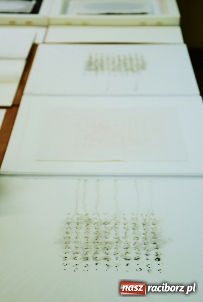 Zdjęcie w galerii na portalu naszraciborz.pl: Spotkanie z dr Joanną Apanowicz na początek Tygodnia Bibliotek na raciborskiej uczelni  wiadomości z regionu