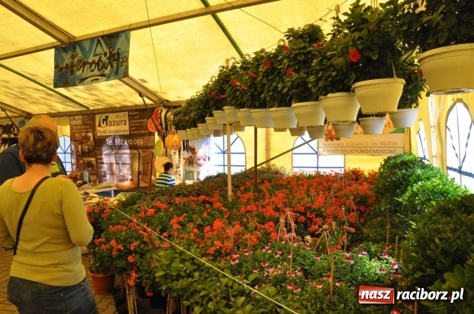 Zdjęcie w galerii na portalu naszraciborz.pl: Ruszyła pietrowicka Eko-Wystawa. Sprawdź, co przygotowano dla zwiedzających! wiadomości z regionu