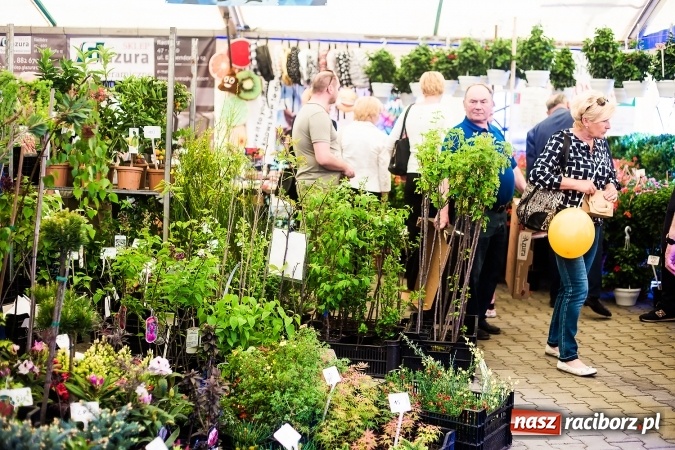 Zdjęcie w galerii na portalu naszraciborz.pl: Zespół Skaner na zakończenie pierwszego dnia targów w Pietrowicach Wielkich wiadomości z regionu
