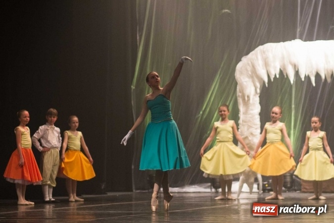 Zdjęcie w galerii na portalu naszraciborz.pl: Kraina lodu - Czesi zachwycili w RCK widowiskiem baletowym wiadomości z regionu