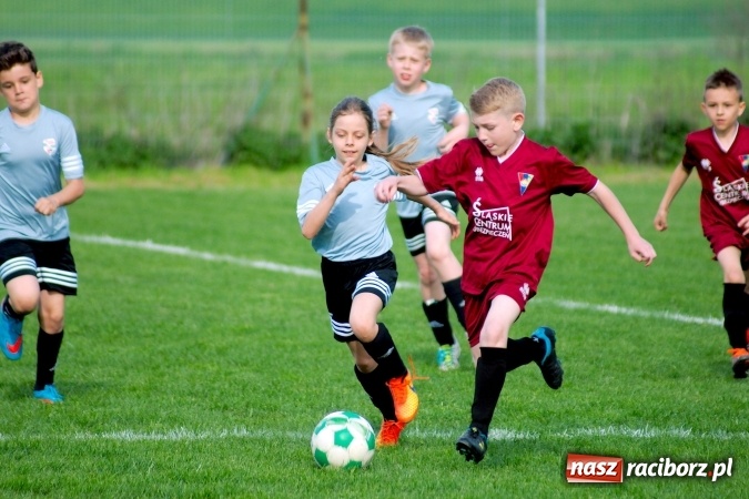 Zdjęcie w galerii na portalu naszraciborz.pl: Orliki: Górki Śląskie górą na Płoni wiadomości z regionu