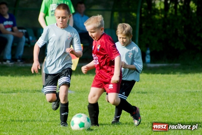 Zdjęcie w galerii na portalu naszraciborz.pl: Orliki: Górki Śląskie górą na Płoni wiadomości z regionu