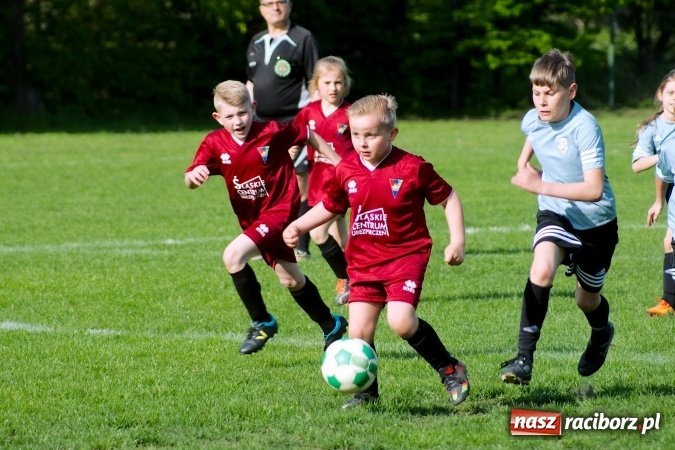 Zdjęcie w galerii na portalu naszraciborz.pl: Orliki: Górki Śląskie górą na Płoni wiadomości z regionu