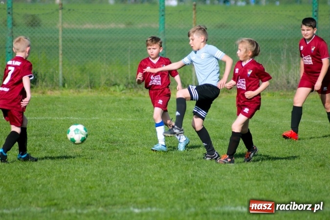 Zdjęcie w galerii na portalu naszraciborz.pl: Orliki: Górki Śląskie górą na Płoni wiadomości z regionu