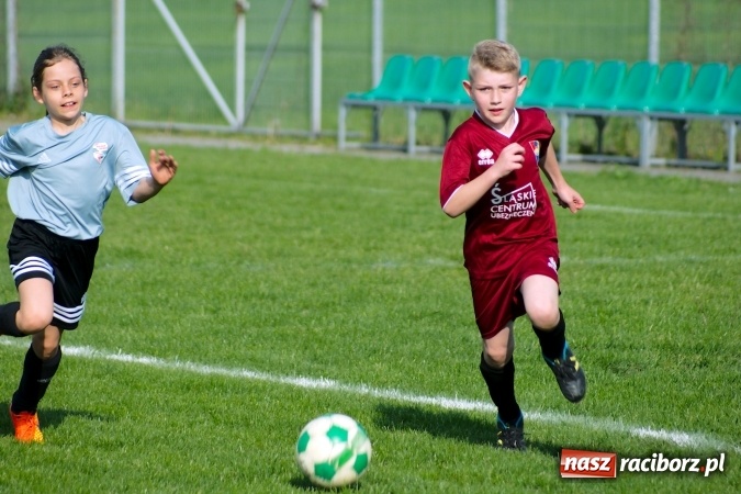 Zdjęcie w galerii na portalu naszraciborz.pl: Orliki: Górki Śląskie górą na Płoni wiadomości z regionu