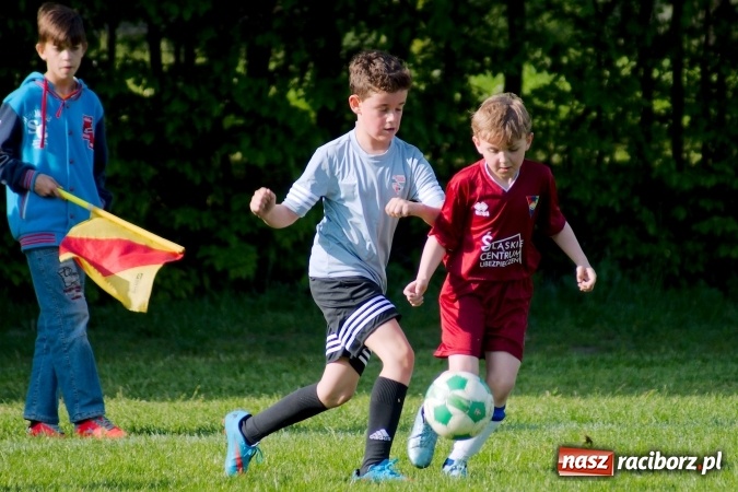 Zdjęcie w galerii na portalu naszraciborz.pl: Orliki: Górki Śląskie górą na Płoni wiadomości z regionu