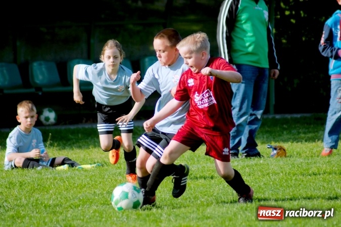 Zdjęcie w galerii na portalu naszraciborz.pl: Orliki: Górki Śląskie górą na Płoni wiadomości z regionu