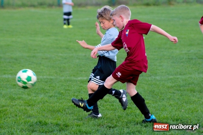 Zdjęcie w galerii na portalu naszraciborz.pl: Orliki: Górki Śląskie górą na Płoni wiadomości z regionu