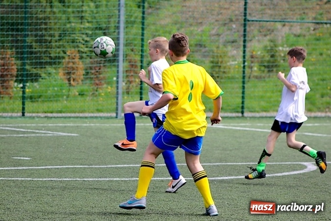Zdjęcie w galerii na portalu naszraciborz.pl: Na orliku w Krzanowicach walczyli o awans do etapu powiatowego wiadomości z regionu