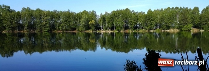 Zdjęcie w galerii na portalu naszraciborz.pl: Sezon wędkarski na Babiczoku w Nędzy rozpoczęty wiadomości z regionu