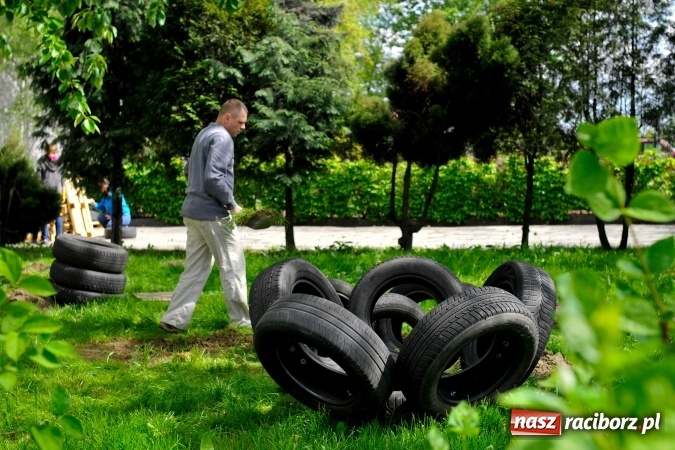 Zdjęcie w galerii na portalu naszraciborz.pl: Rodzicielska ekoakcja dla szkoły na Ostrogu wiadomości z regionu
