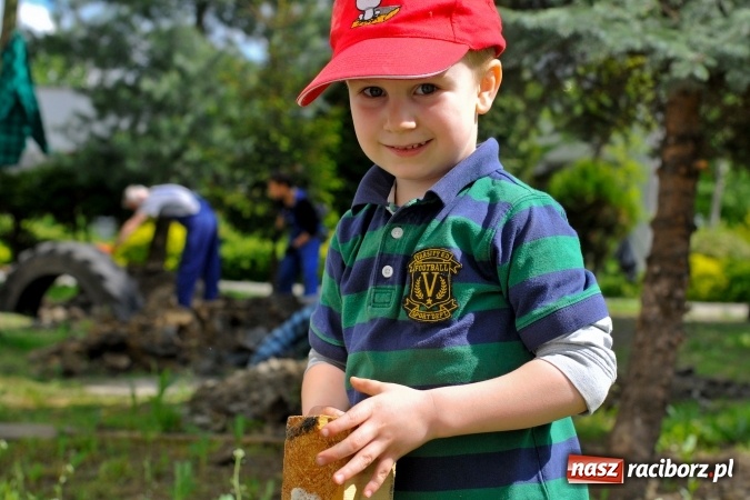 Zdjęcie w galerii na portalu naszraciborz.pl: Rodzicielska ekoakcja dla szkoły na Ostrogu wiadomości z regionu