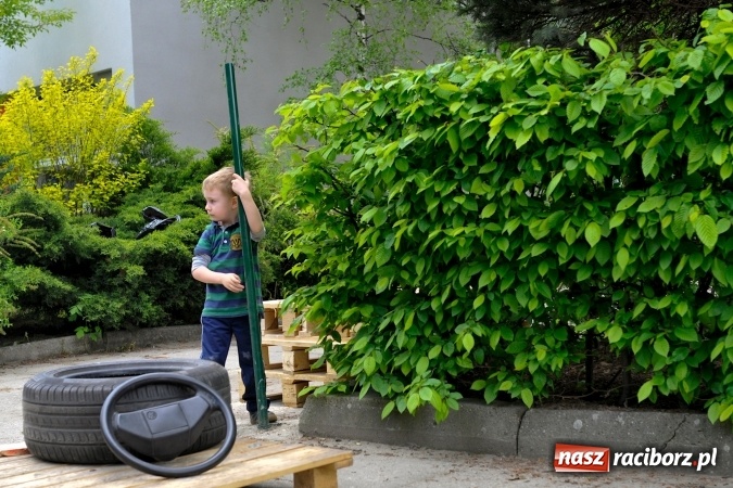 Zdjęcie w galerii na portalu naszraciborz.pl: Rodzicielska ekoakcja dla szkoły na Ostrogu wiadomości z regionu