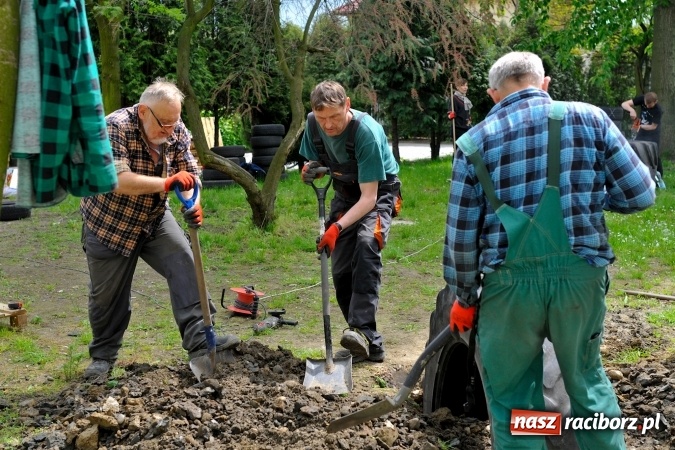 Zdjęcie w galerii na portalu naszraciborz.pl: Rodzicielska ekoakcja dla szkoły na Ostrogu wiadomości z regionu
