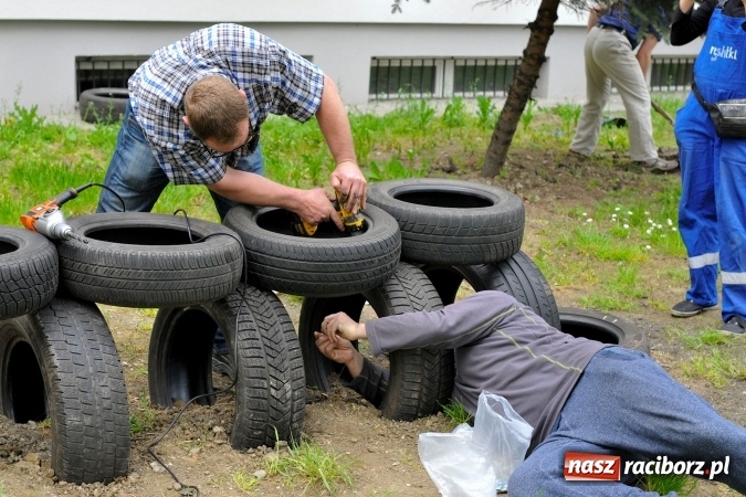 Zdjęcie w galerii na portalu naszraciborz.pl: Rodzicielska ekoakcja dla szkoły na Ostrogu wiadomości z regionu