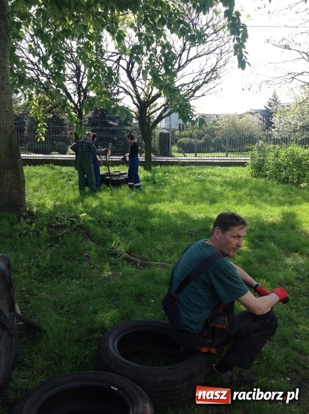 Zdjęcie w galerii na portalu naszraciborz.pl: Rodzicielska ekoakcja dla szkoły na Ostrogu wiadomości z regionu