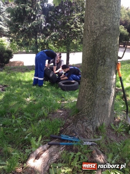 Zdjęcie w galerii na portalu naszraciborz.pl: Rodzicielska ekoakcja dla szkoły na Ostrogu wiadomości z regionu