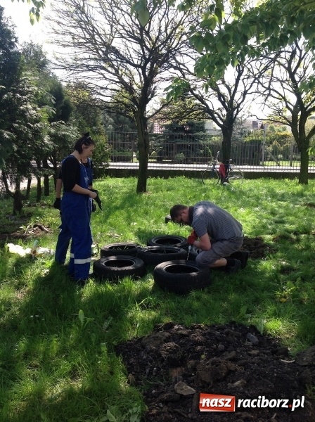 Zdjęcie w galerii na portalu naszraciborz.pl: Rodzicielska ekoakcja dla szkoły na Ostrogu wiadomości z regionu