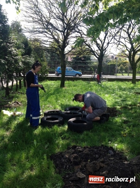 Zdjęcie w galerii na portalu naszraciborz.pl: Rodzicielska ekoakcja dla szkoły na Ostrogu wiadomości z regionu