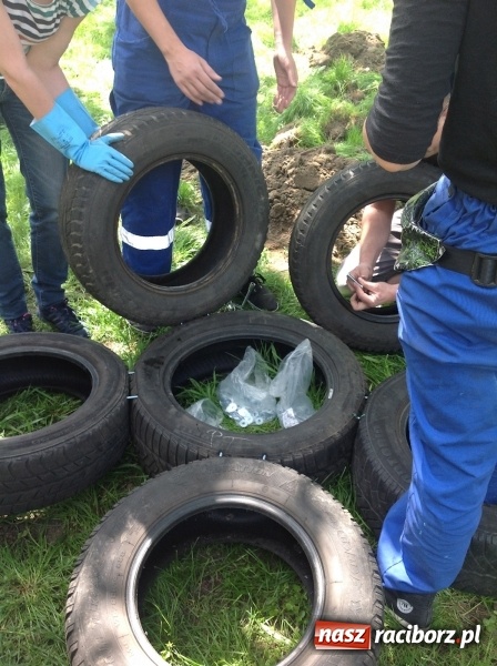 Zdjęcie w galerii na portalu naszraciborz.pl: Rodzicielska ekoakcja dla szkoły na Ostrogu wiadomości z regionu