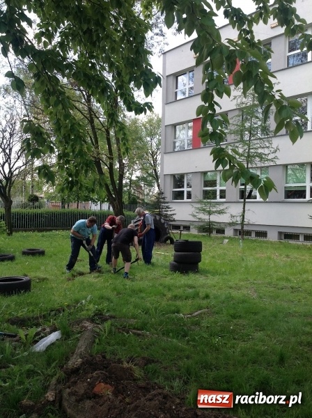 Zdjęcie w galerii na portalu naszraciborz.pl: Rodzicielska ekoakcja dla szkoły na Ostrogu wiadomości z regionu