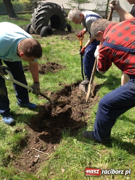 Zdjęcie w galerii na portalu naszraciborz.pl: Rodzicielska ekoakcja dla szkoły na Ostrogu wiadomości z regionu