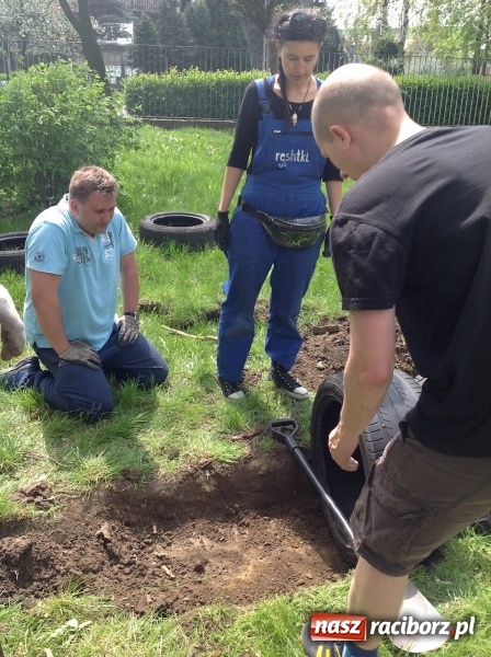 Zdjęcie w galerii na portalu naszraciborz.pl: Rodzicielska ekoakcja dla szkoły na Ostrogu wiadomości z regionu