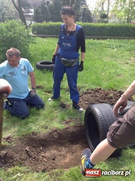 Zdjęcie w galerii na portalu naszraciborz.pl: Rodzicielska ekoakcja dla szkoły na Ostrogu wiadomości z regionu