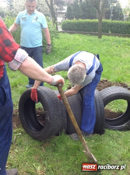 Zdjęcie w galerii na portalu naszraciborz.pl: Rodzicielska ekoakcja dla szkoły na Ostrogu wiadomości z regionu