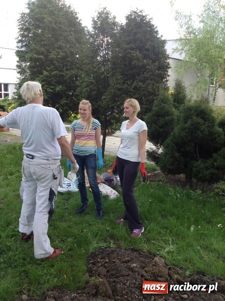 Zdjęcie w galerii na portalu naszraciborz.pl: Rodzicielska ekoakcja dla szkoły na Ostrogu wiadomości z regionu