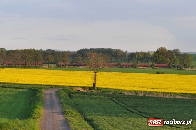 Zdjęcie w galerii na portalu naszraciborz.pl: Wypadek kolejowy na linii 194 Pietrowice Wielkie - Kietrz wiadomości z regionu