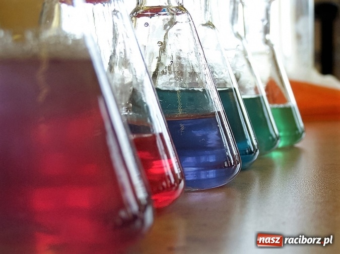 Zdjęcie w galerii na portalu naszraciborz.pl: Zielone Pracownie w Radziechowach, Jankowicach i Świerklanach  wiadomości z regionu