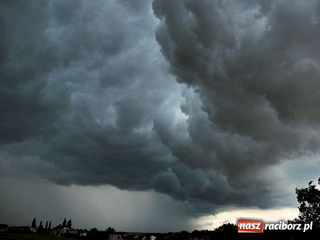 Zdjęcie w galerii na portalu naszraciborz.pl: Afrykańskie AGACKI wiadomości z regionu