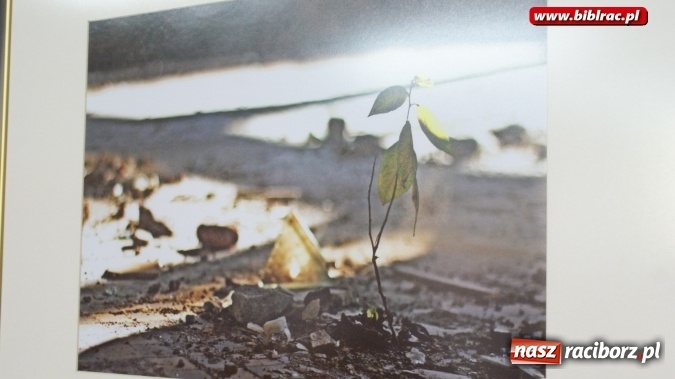 Zdjęcie w galerii na portalu naszraciborz.pl: Kryminalny obraz Miasta - wernisaż wystawy w Galerii GAWRA  wiadomości z regionu