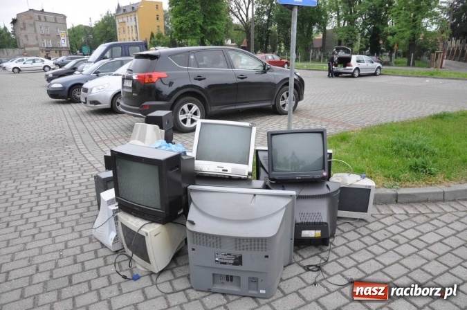 Zdjęcie w galerii na portalu naszraciborz.pl: Najlepsze rośliny rozdano już nad ranem  wiadomości z regionu