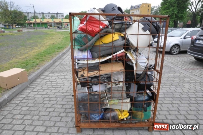 Zdjęcie w galerii na portalu naszraciborz.pl: Najlepsze rośliny rozdano już nad ranem  wiadomości z regionu