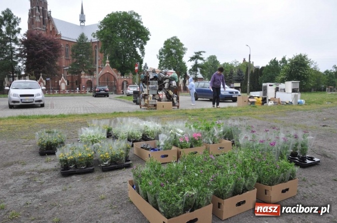Zdjęcie w galerii na portalu naszraciborz.pl: Najlepsze rośliny rozdano już nad ranem  wiadomości z regionu