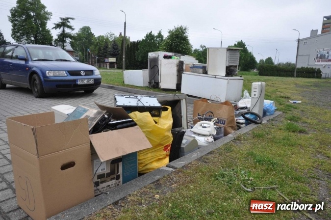 Zdjęcie w galerii na portalu naszraciborz.pl: Najlepsze rośliny rozdano już nad ranem  wiadomości z regionu