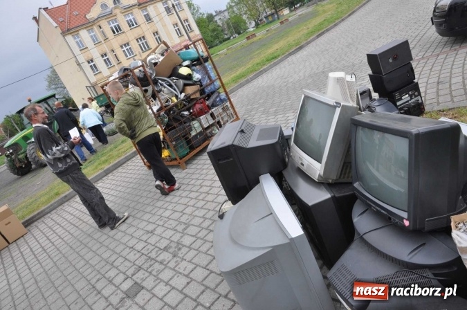 Zdjęcie w galerii na portalu naszraciborz.pl: Najlepsze rośliny rozdano już nad ranem  wiadomości z regionu