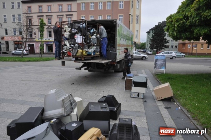 Zdjęcie w galerii na portalu naszraciborz.pl: Najlepsze rośliny rozdano już nad ranem  wiadomości z regionu
