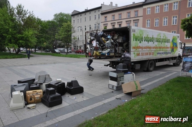 Zdjęcie w galerii na portalu naszraciborz.pl: Najlepsze rośliny rozdano już nad ranem  wiadomości z regionu