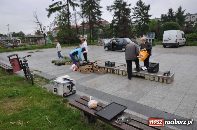 Zdjęcie w galerii na portalu naszraciborz.pl: Najlepsze rośliny rozdano już nad ranem  wiadomości z regionu