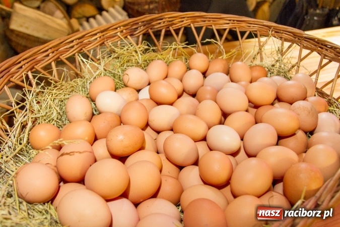 Zdjęcie w galerii na portalu naszraciborz.pl: BioBazar na Końcu Świata - dziś po raz drugi wiadomości z regionu